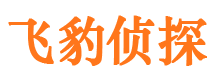 临川市私家侦探